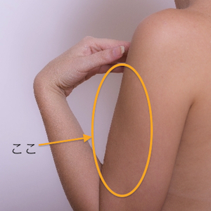 arm.jpg